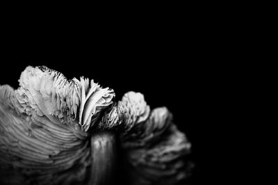 g13/54/364954/3/175040001.652c3ee2.JPEG