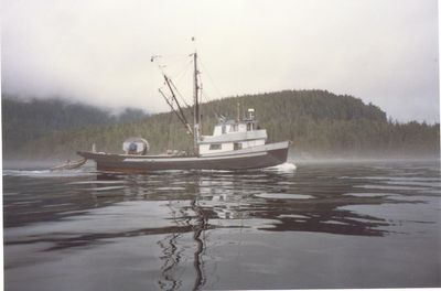 g13/54/364954/3/175093255.cc01fd58.JPEG