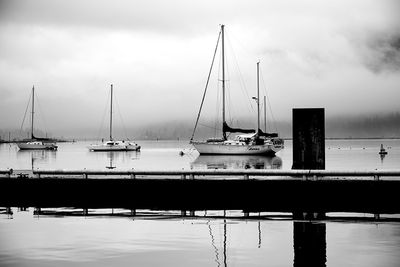g13/54/364954/3/175163163.a42fdd67.JPEG