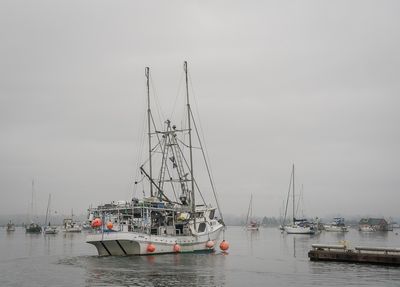 g13/54/364954/3/175167604.01fd3b42.JPEG