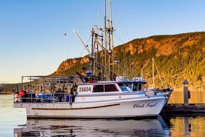 * Field Trip Cowichan Bay/Hecate Park - January 1-17, 2025 Closed