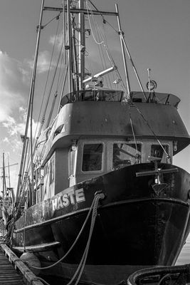 g13/54/364954/3/175204464.0b9071c6.JPEG