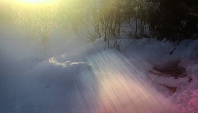 g13/54/364954/3/175225200.639051a4.JPEG