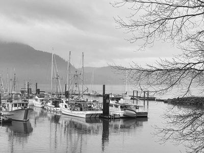 g13/54/364954/3/175291850.6ca37423.JPEG