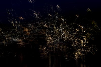 g13/54/364954/3/175317333.708b1fb2.JPEG