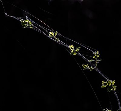 g13/54/364954/3/175333719.b3e688b8.JPEG