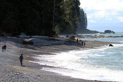<br>Willie Harvie<br>Theme water - April 1 - 15, 2025<br>Sombrio Beach