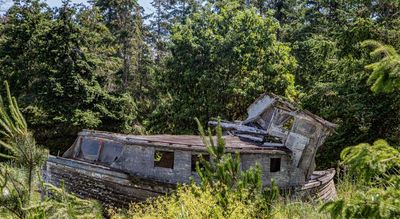 * Field Trip Wabi Sabi - June 1-15, 2025