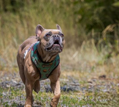 Photos of the Month - June 2025