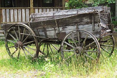 * 2025 Summer Photo Challenge
