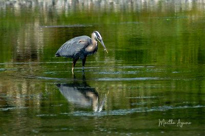 Photos of the Month - July 2025