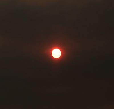 g13/54/364954/3/175704428.da38c8ad.JPEG