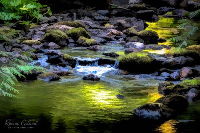 * 2025 Summer Photo Challenge
