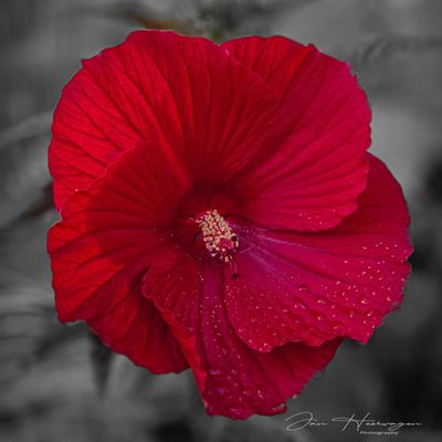 Photos of the Month - August 2025