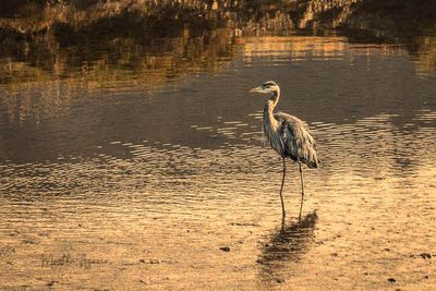 * 2025 Summer Photo Challenge Closing October 6, 2025