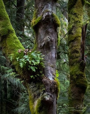 Photos of the Month -November 2025