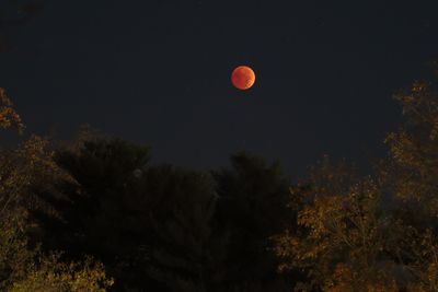 Total Lunar Eclipse2wk1_11.jpg