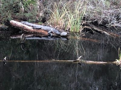 g13/54/475254/3/174543729.3567b09c.JPEG