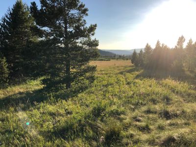 g13/54/475254/3/174543839.e1664426.JPEG