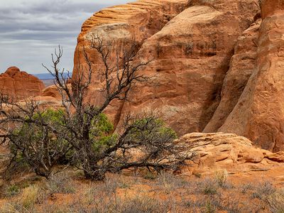 B007620.jpg