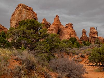 B007633.jpg