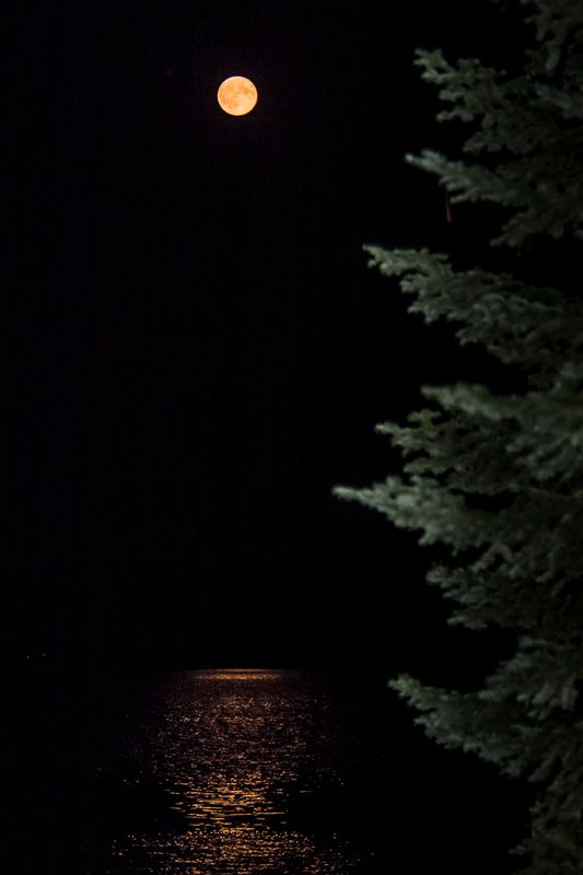 _DSC3604-4.jpg
