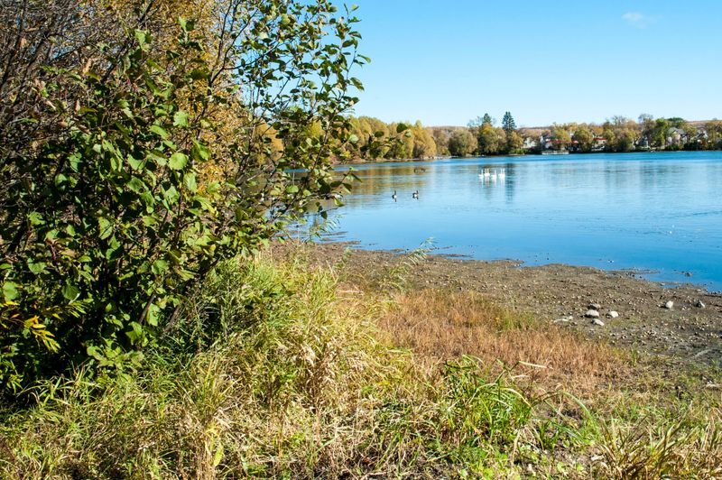 DSC_2594.jpg