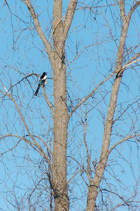 DSC_5077.jpg
