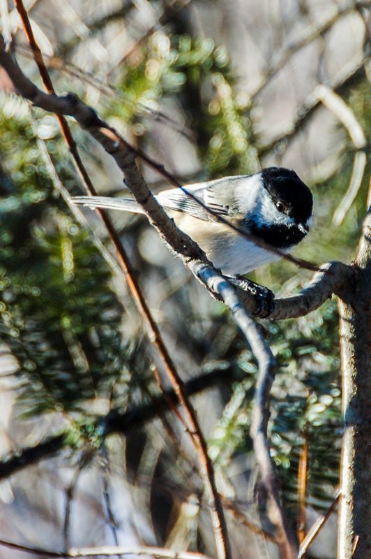 DSC_5103.jpg