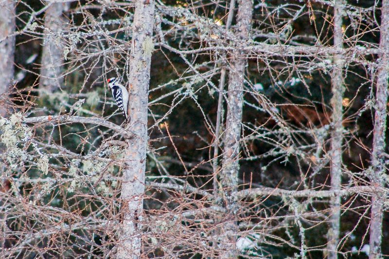 DSC_5220.jpg