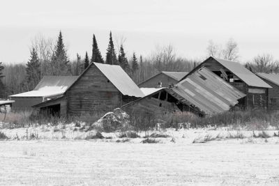 _DSC0328.jpg