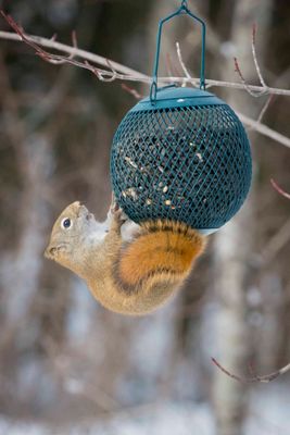 _DSC0373.jpg