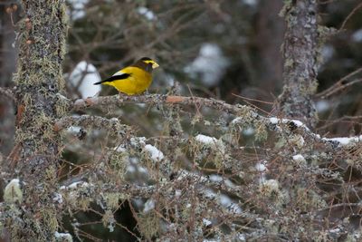 _DSC0473.jpg