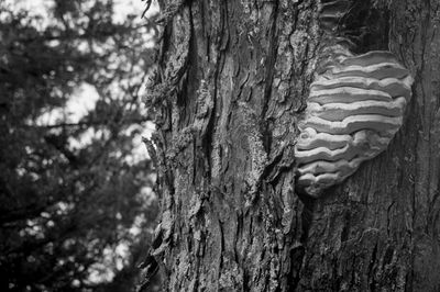 _DSC1277.jpg