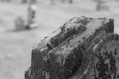 _DSC1296.jpg