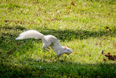 DSC_1964.jpg