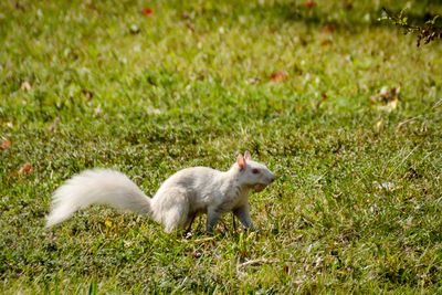 DSC_1966.jpg