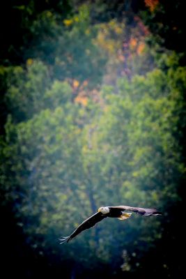 _DSC0445.jpg