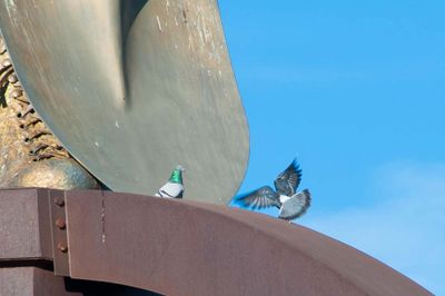 DSC_8806.jpg