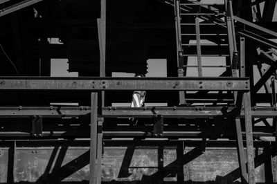 DSC_8856.jpg