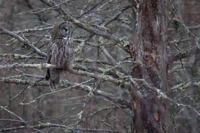 DSC_9019.jpg