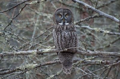 DSC_9023.jpg