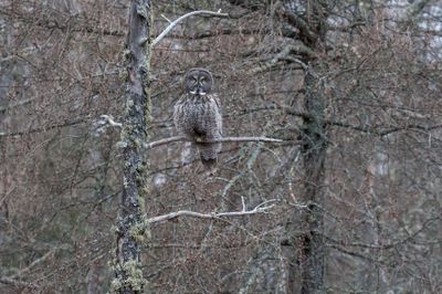 DSC_9036.jpg