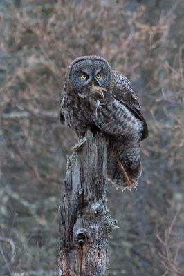 DSC_9050.jpg