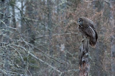DSC_9054.jpg