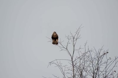 DSC_9070.jpg