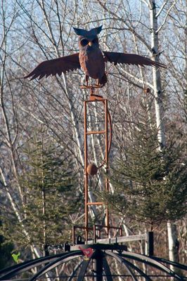 _DSC9182.jpg