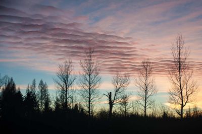 _DSC9221.jpg