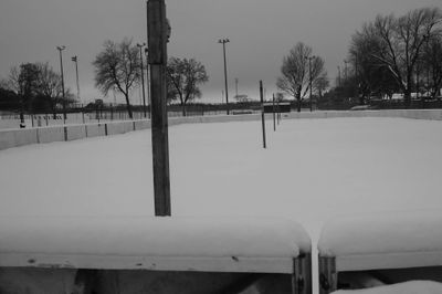 DSC_4435.jpg