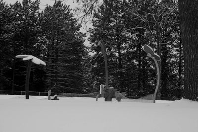 DSC_4442.jpg